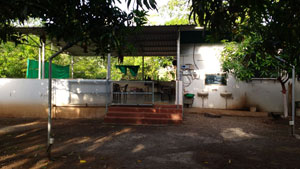 Safale kelwa beach  BUNGALOW ON RENT FOR PICNINC